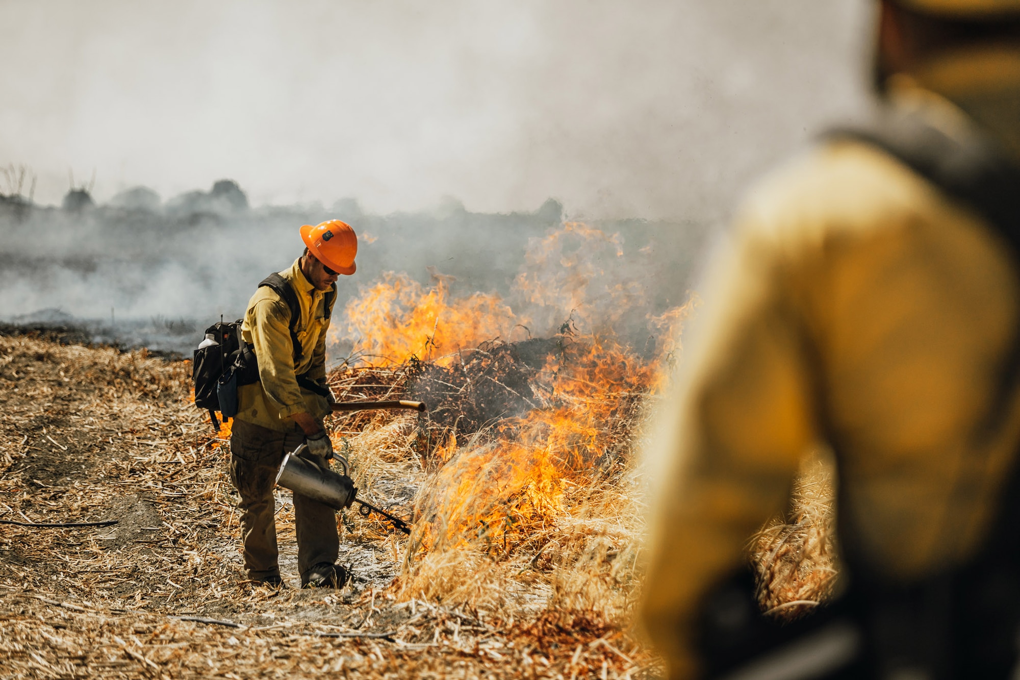 Crews conduct prescribed burns Sept. 5-16, at Edwards Air Force Base, California. The prescribed burn removed old decadent fuels susceptible to wildfire, and for habitat restoration at Piute Ponds at the southwest corner of Edwards. The burns thinned out Tully grass, which is considered an invasive species and competes with native species for natural resources. (U.S. Air Force photo by Harley Huntington)