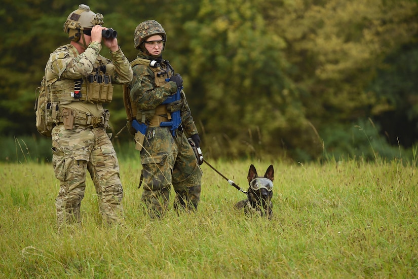 A sailor stands next to a German service member who is holding a dog by a leash.