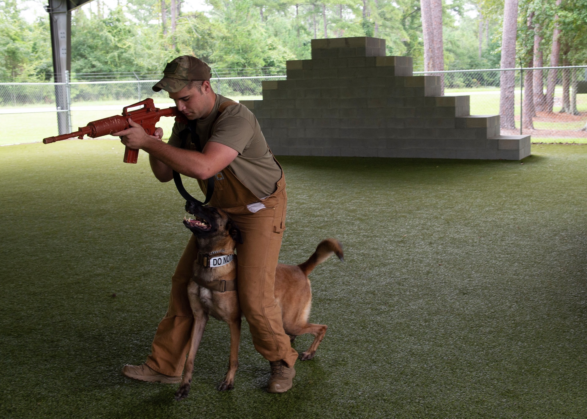 Senior Airman Steven Goff, 23d Security Forces Squadron military working dog (MWD) handler, performs a walk over with MWD Ttoby, during a training demonstration, Aug. 28, 2019, at Moody Air Force Base, Ga. Goff recently became a part of the K-9 unit and is currently in the process of completing his validation training. (U.S. Air Force photo by Airman Azaria E. Foster)