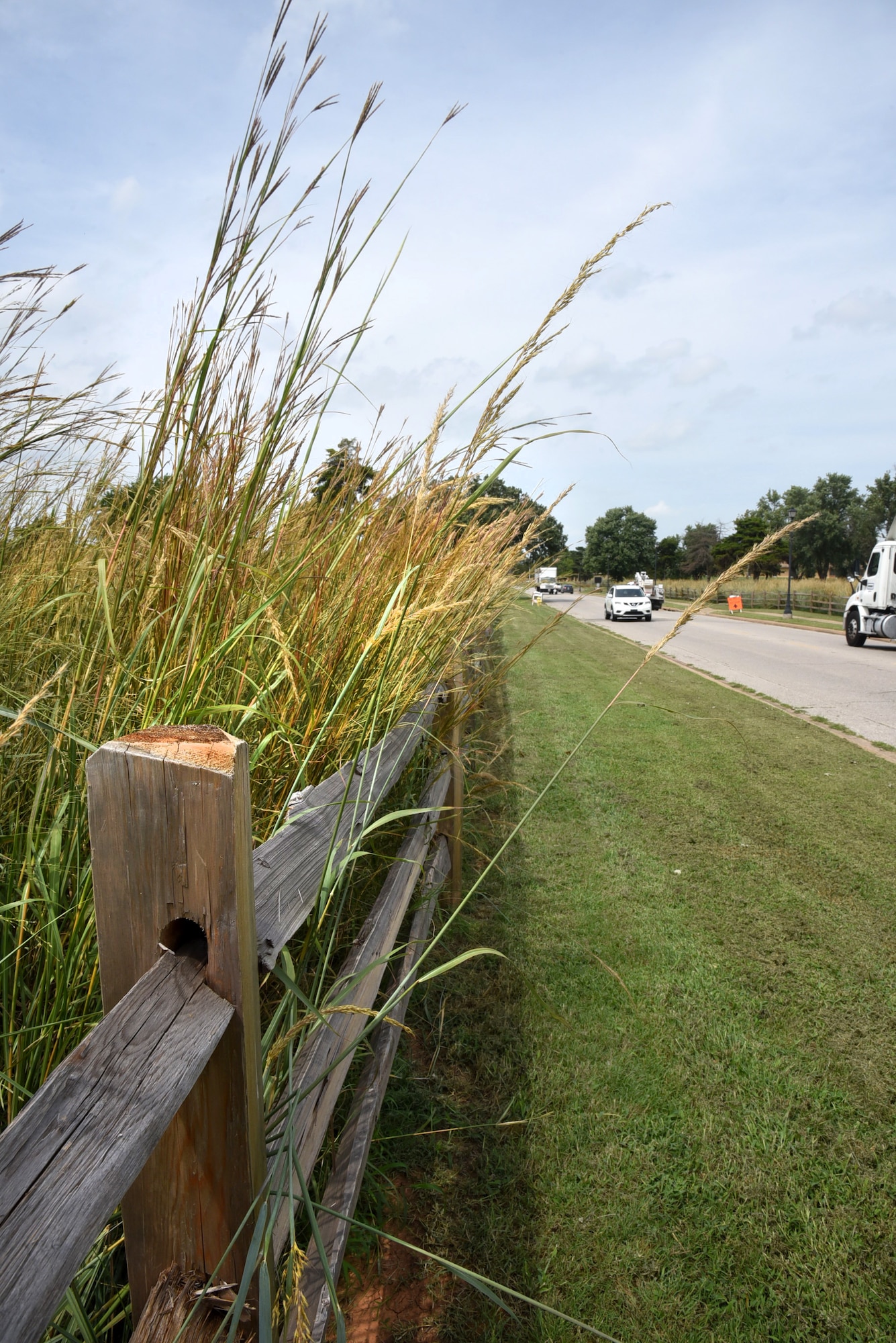 An image of tall grass, purposeful restoration of land back to its original prairie on Tinker AFB.