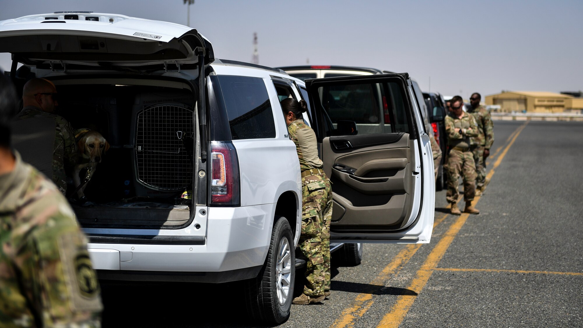 Service members from the U.S. Air Force, Army and Navy offload vehicles and prepare military working dogs for a medical evacuation exercise at Ali Al Salem Air Base, Kuwait, Sept. 13, 2019. The exercise included veterinarian clinical specialist’s with the 149th Medical Detachment Veterinary Service Support Unit; medical first responders with the 386th Expeditionary Medical Group and more than 15 military working dog teams from various units around the U.S. Central Command area of responsibility. (U.S. Air Force photo by Staff Sgt. Mozer O. Da Cunha)