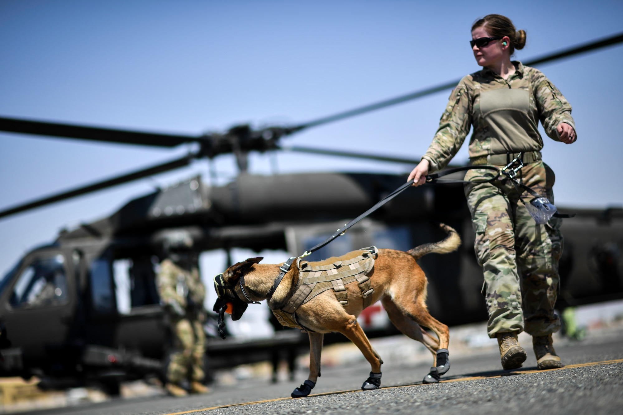 U.S. Air Force Staff Sgt. Kathyrn Malone, 386th Expeditionary Security Forces Squadron military working dog handler, and MWD UUrska, exit a UH-60 Black Hawk helicopter as part of medical evacuation training at Ali Al Salem Air Base, Kuwait, Sept. 13, 2019. The team participated in phase two of the exercise consisting of boarding the aircraft with the engines on. The objective was to get MWDs acclimated to the noise and wind created by the helicopter’s rotating blades. (U.S. Air Force photo by Staff Sgt. Mozer O. Da Cunha)