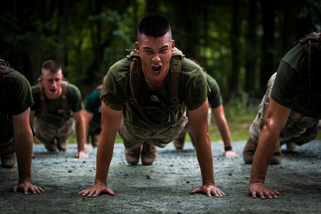 Several Marines perform pushups.