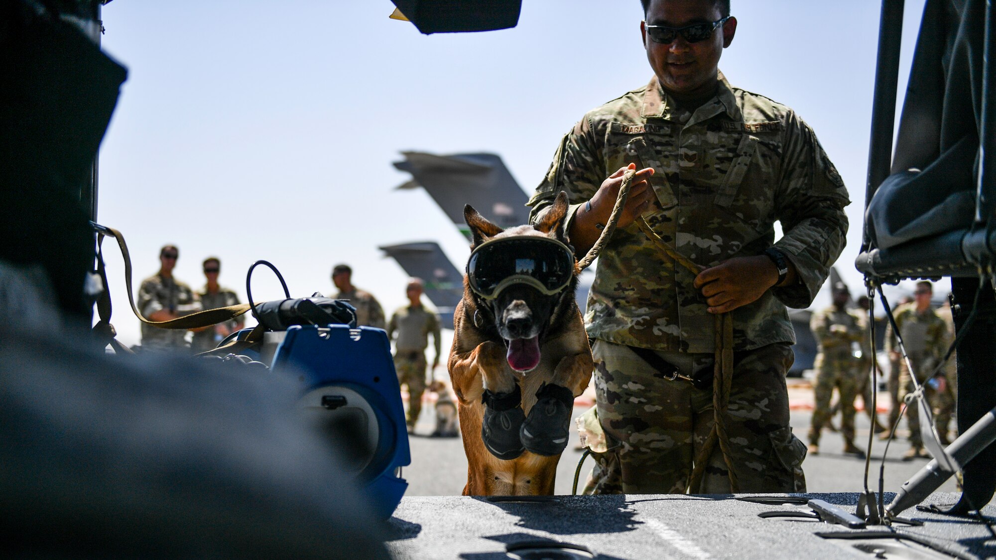 U.S. Air Force Staff Sgt. Adrian Magaling, 386th Expeditionary Security Forces Squadron military working dog handler, and MWD Lizzy, board a UH-60 Black Hawk helicopter as part of medical evacuation training at Ali Al Salem Air Base, Kuwait, Sept. 13, 2019. The walkthrough was phase one of the exercise where teams conducted a cold load by boarding the aircraft with the engines off for their dogs to acclimate to the new environment. (U.S. Air Force photo by Staff Sgt. Mozer O. Da Cunha)