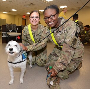 Two Soldiers pose for a photo with a working therapy dog brought by Paws 4 Hearts volunteers.