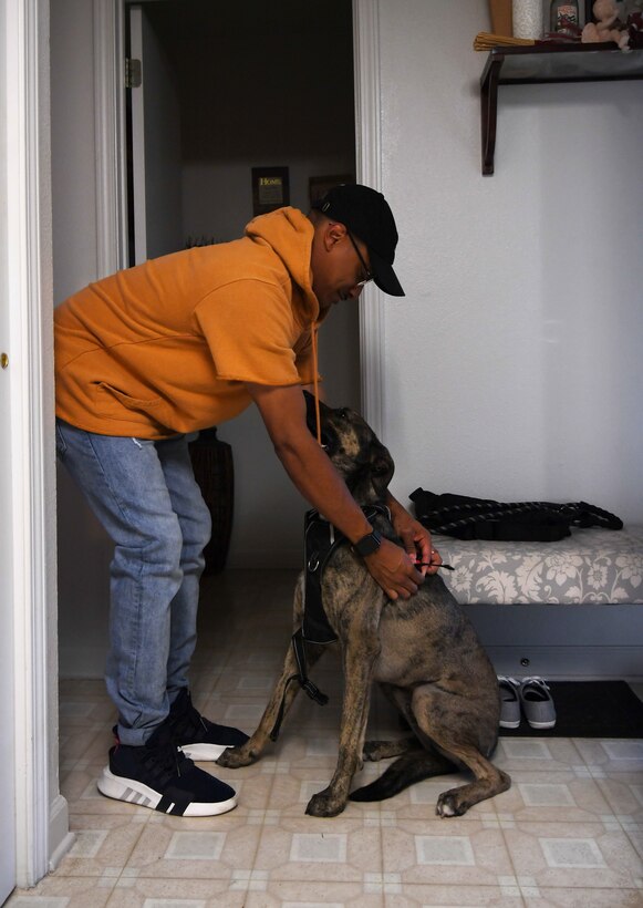 Senior Airman Elijaih Tiggs, 319th Reconnaissance Wing Public Affairs photojournalist journeyman, buckles a harness around Memphis, his 2-year-old Australian Cattle Dog mix, before heading to “Tactical Paws” Sept. 18, 2019, on Grand Forks Air Force Base, North Dakota. Tactical Paws was a social event at the base dog park meant to mirror recent mandatory resilience tactical pauses in a more playful way, so base members and their furry friends could enjoy each other’s company and share information regarding animal care in the community. (U.S. Air Force photo by Senior Airman Elora J. Martinez)