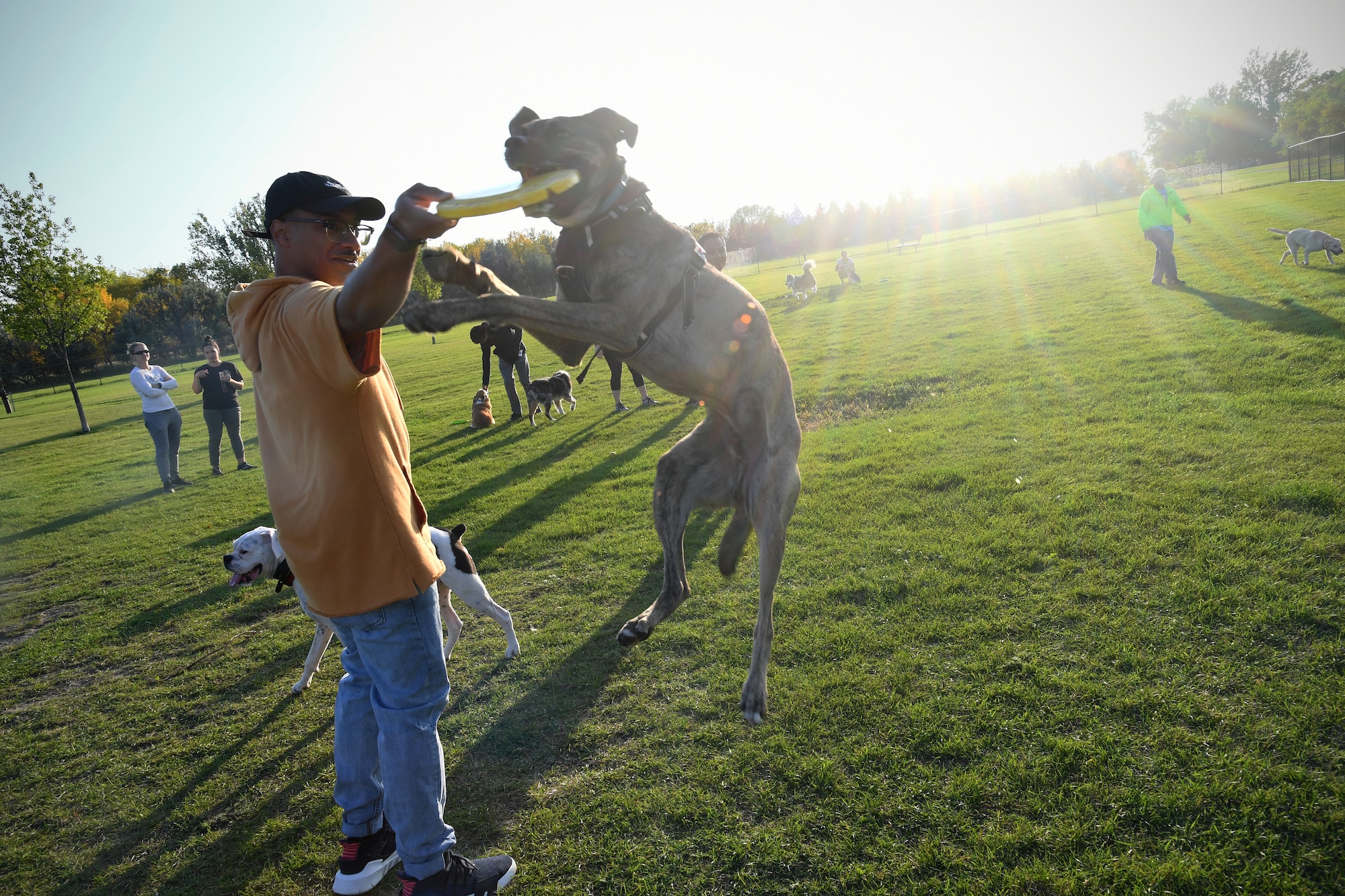 Senior Airman Elijaih Tiggs, 319th Reconnaissance Wing photojournalist journeyman, pets Memphis, his 2-year-old Australian Cattle Dog mix, as Memphis takes a play-break during “Tactical Paws” Sept. 18, 2019, at the dog park on Grand Forks Air Force Base, North Dakota. Tiggs and Memphis attended Tactical Paws, a casual event created to allow the base community to socialize, exercise their dogs and share helpful tips regarding local animal care options. (U.S. Air Force photo by Senior Airman Elora J. Martinez)