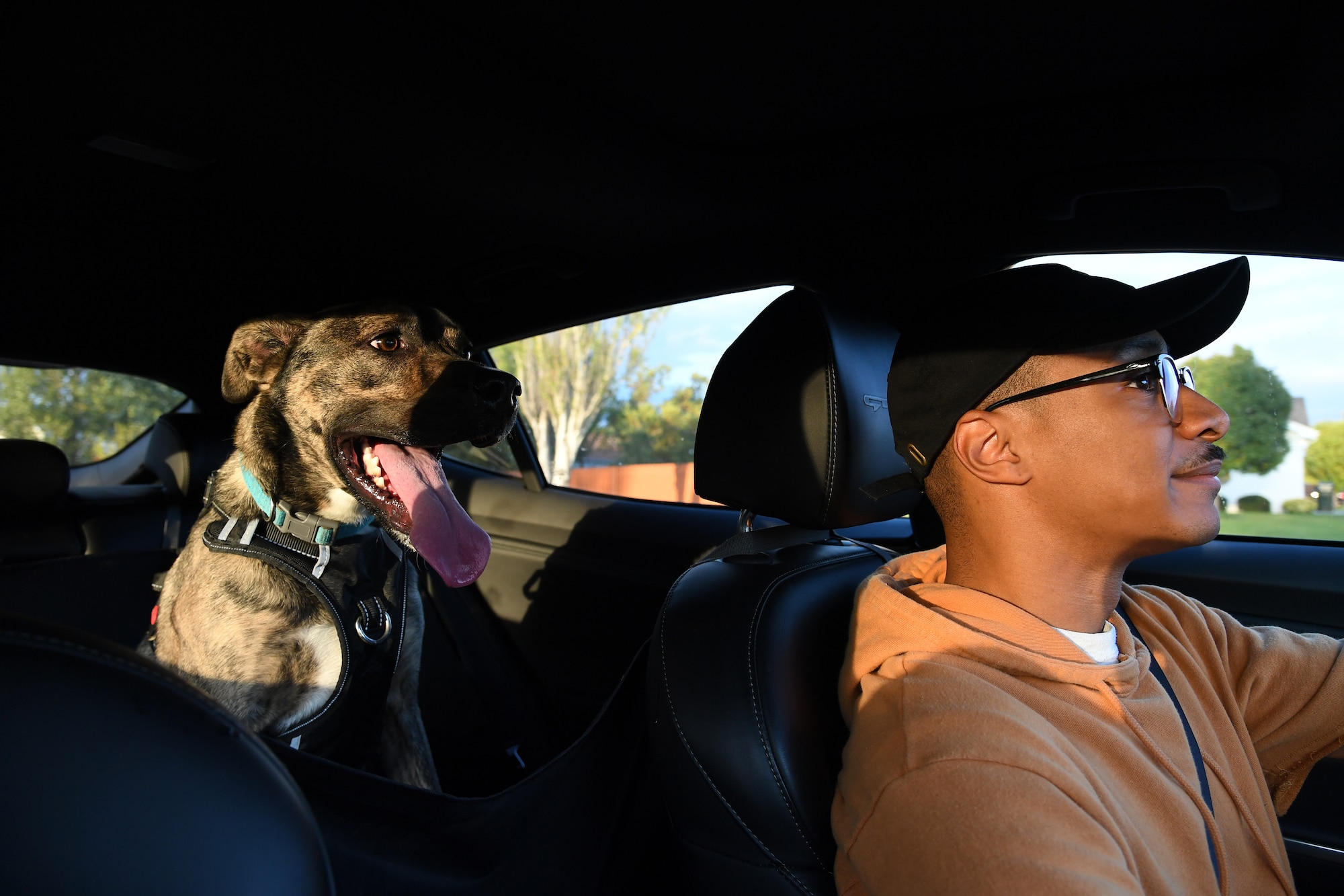 Senior Airman Elijaih Tiggs, 319th Reconnaissance Wing photojournalist journeyman, and his dog Memphis, a 2-year-old Australian Cattle Dog mix, drive to the base dog park for “Tactical Paws,” a resilience event, Sept. 18, 2019, on Grand Forks Air Force Base, North Dakota. Tiggs and Memphis joined other base members and furry friends for the event, which mirrored recent mandatory resilience tactical pauses around the U.S. Air Force. Tactical Paws brought the Grand Forks AFB community together to socialize, but more importantly to share information regarding local tips and options for pet healthcare and boarding in case of deployment. (U.S. Air Force photo by Senior Airman Elora J. Martinez)