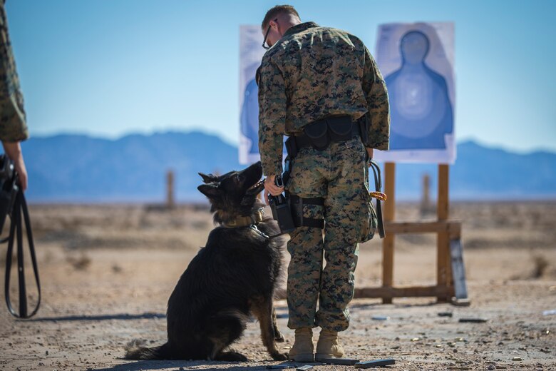 U.S. Marines with the Provost Marshals Office (PMO), Headquarters and Headquarters Squadron, Marine Corps Air Station (MCAS) Yuma, engage targets during a law enforcement (LE) range qualification on MCAS Yuma, Sep. 18th 2019. The LE qualification is specific to military police personnel, including several different shooting methods with both the Beretta M9 and Benelli 12 gauge shotgun. (U.S. Marine Corps photo by Lance Cpl John Hall)