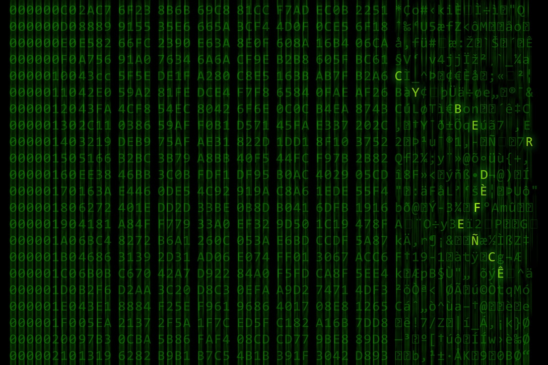 Green letters scroll on a computer screen, leaving a blur.  The letters "C Y B E R F L A G 19-1" are in bold.