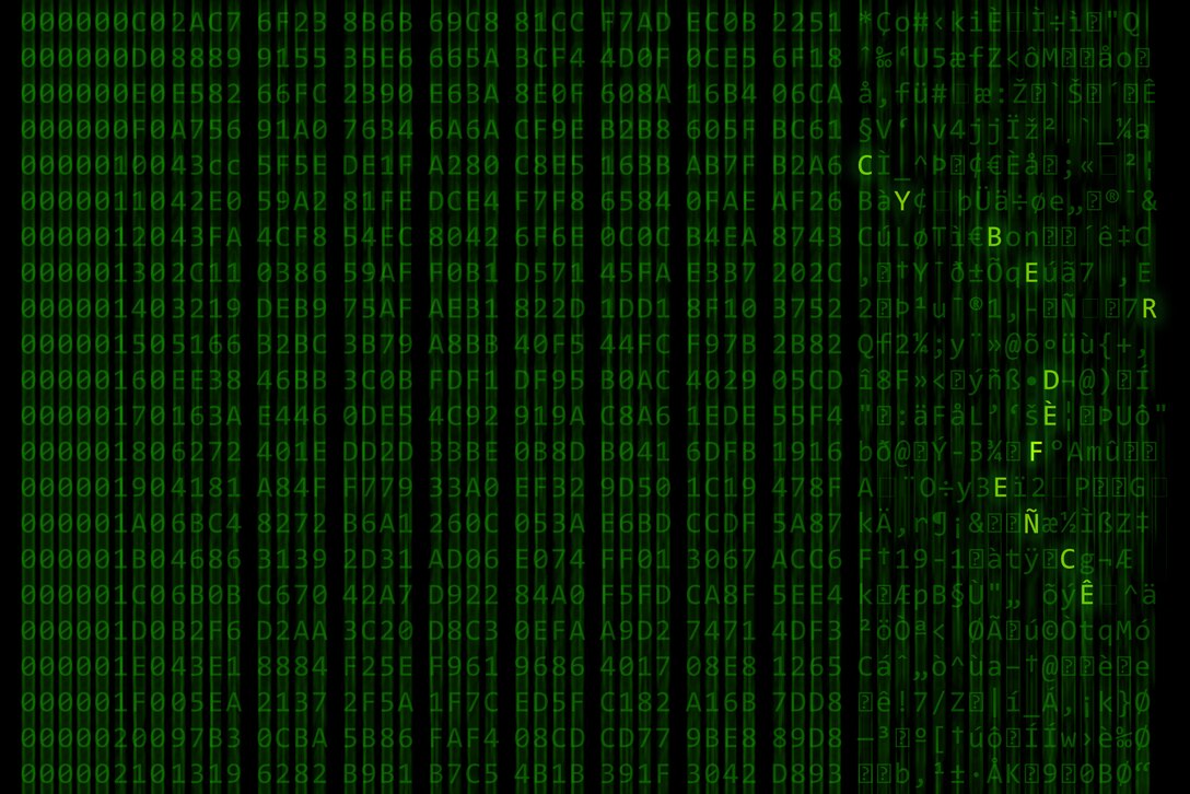 Green letters scroll on a computer screen, leaving a blur.  The letters "C Y B E R F L A G 19-1" are in bold.