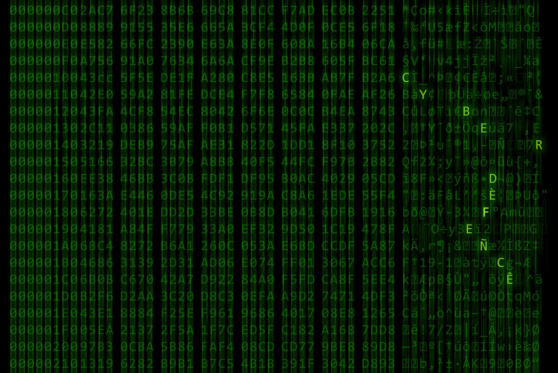 Green letters scroll on a computer screen, leaving a blur.  The letters "C Y B E R F L A G 19-1" are in bold.