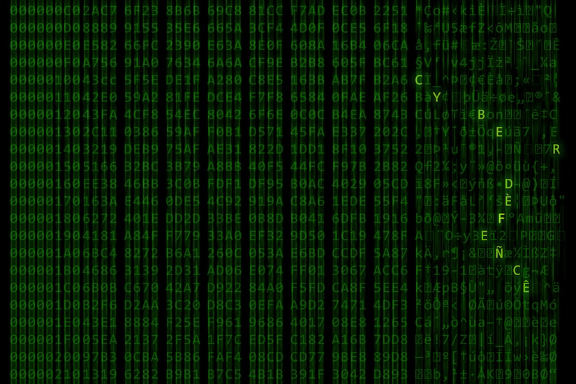 Green letters scroll on a computer screen, leaving a blur.  The letters "C Y B E R F L A G 19-1" are in bold.