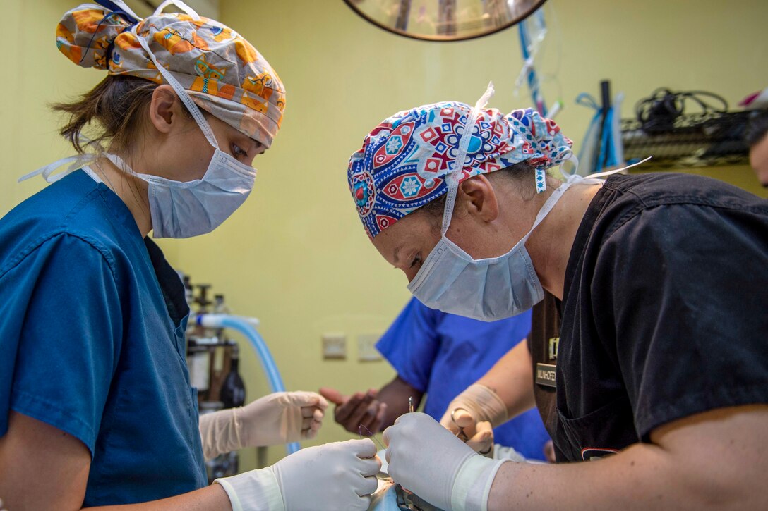 Two veterinarians look in scrubs lean over an operating table.