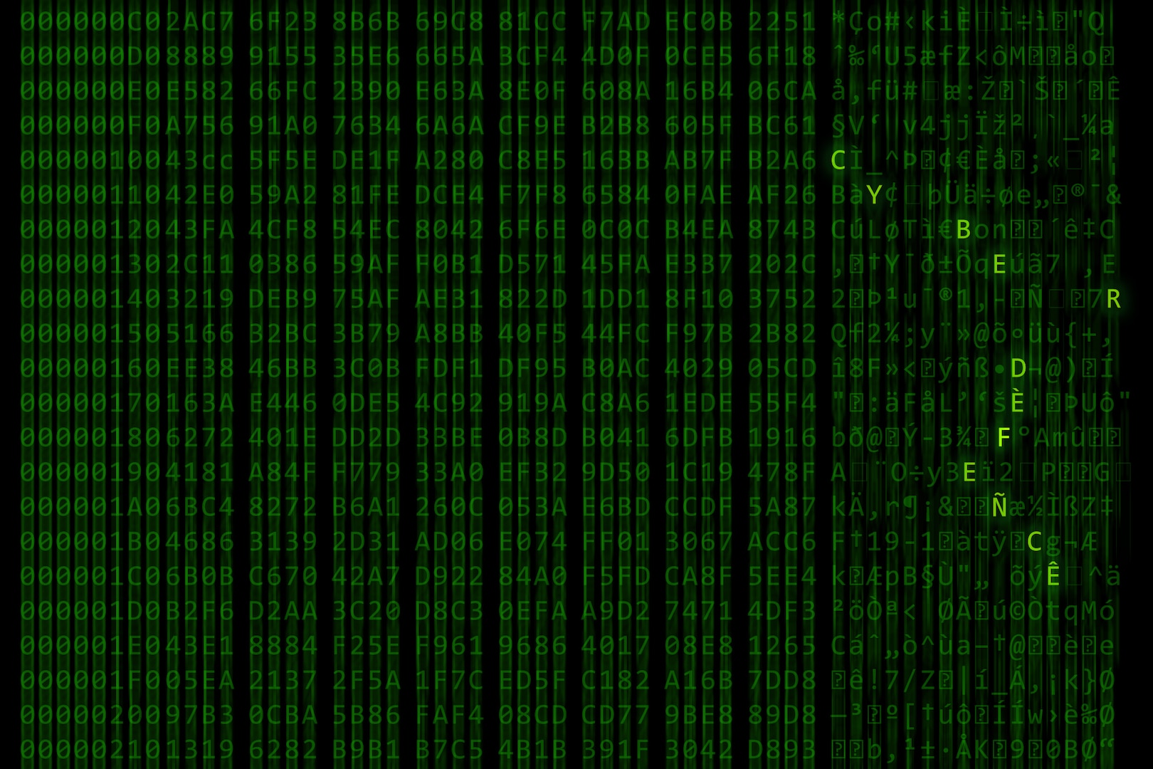 Green letters scroll on a computer screen, leaving a blur.  The letters "C Y B E R F L A G 19-1" are in bold.