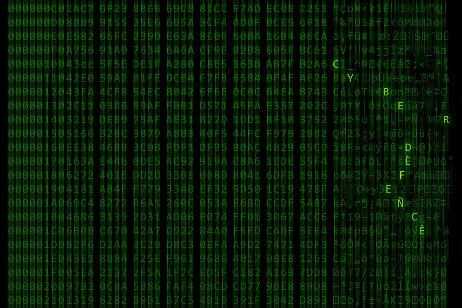 Green letters scroll on a computer screen, leaving a blur.  The letters "C Y B E R F L A G 19-1" are in bold.