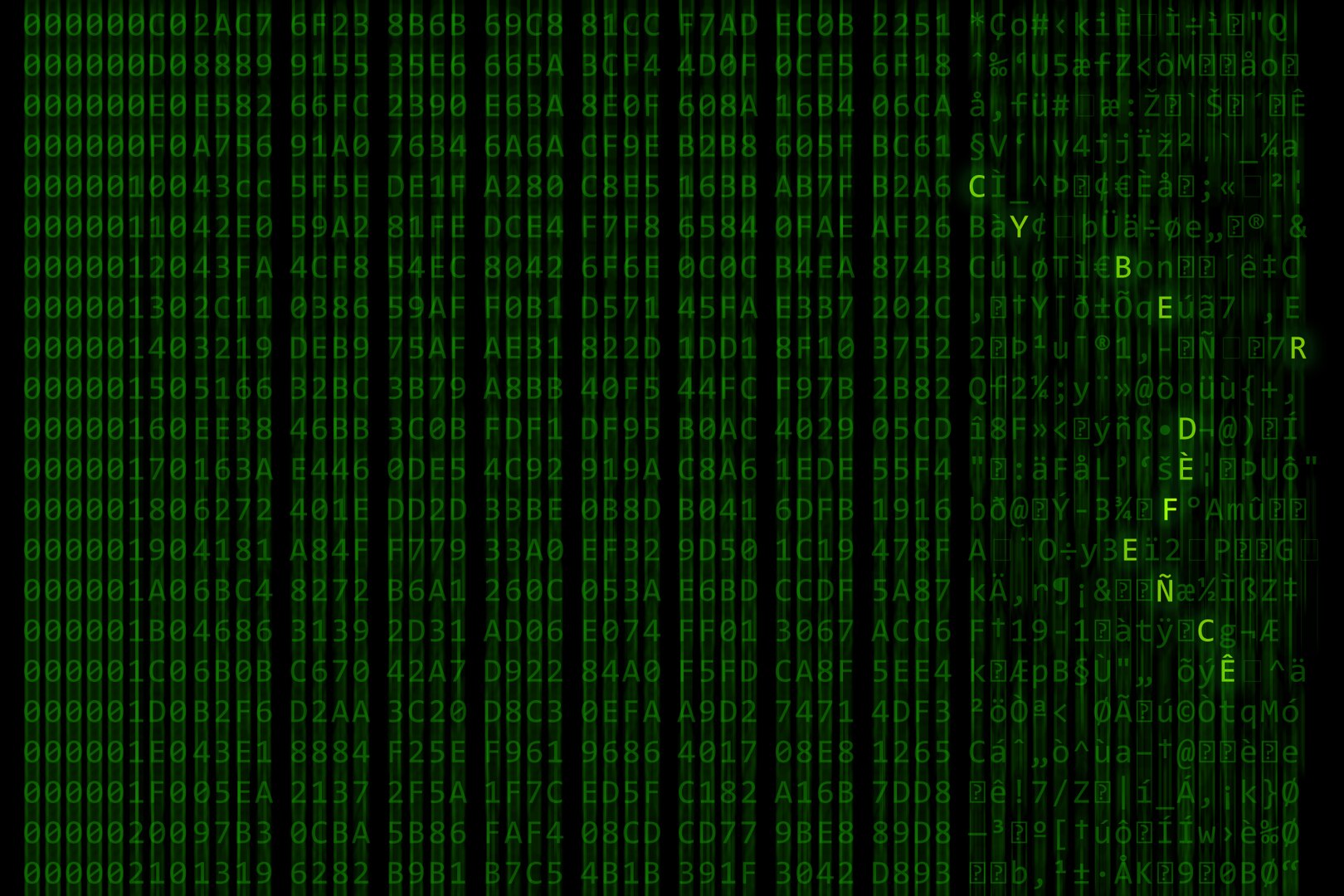 Green letters scroll on a computer screen, leaving a blur.  The letters "C Y B E R F L A G 19-1" are in bold.