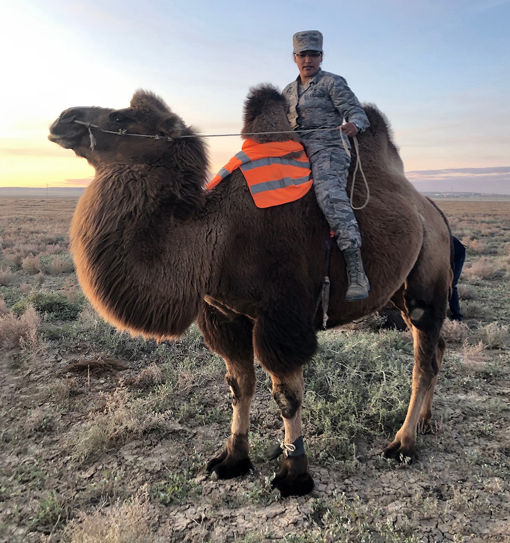 Alaska Air National Guard Senior Airman Liana Chythlook, 176th Medical Group, rides a Bactrian camel Sept. 20, 2019, at a farm during Gobi Wolf 2019 in Sainshand, Mongolia. GW 19 is hosted by the Mongolian National Emergency Management Agency and Mongolian Armed Forces as part of the United States Army Pacific's humanitarian assistance and disaster relief "Pacific Resilience" series.