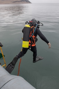 A Peruvian navy diver steps off a ship.