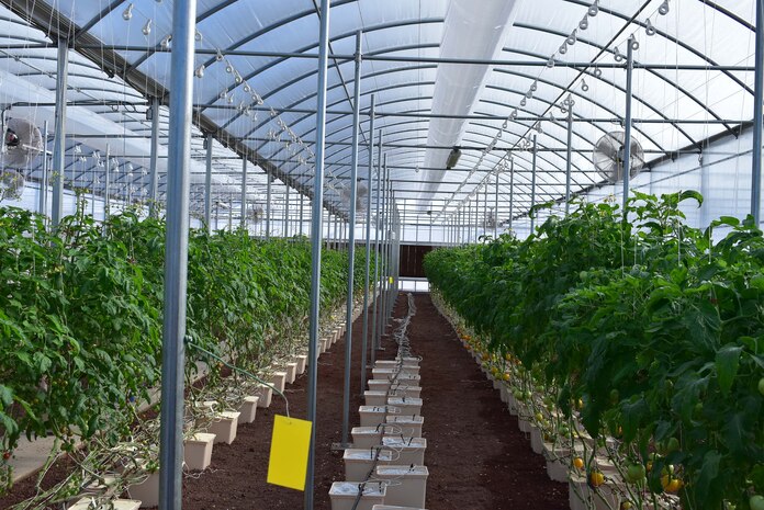 The 45th Space Wing's Ascension Island Auxiliary Airfield looks quite similar to Mars, per5 it's physical characteristics. Food must be flown in because the topography of the island isn't able to grow food organically. However, a team from the 45th Mission Support Group's Detachment 2 has revamped the hydroponics lab so that fresh vegetables can be grown and consumed by the 700 inhabitants of the volcanic island. (U.S. Air Force photo by Cathy Little)