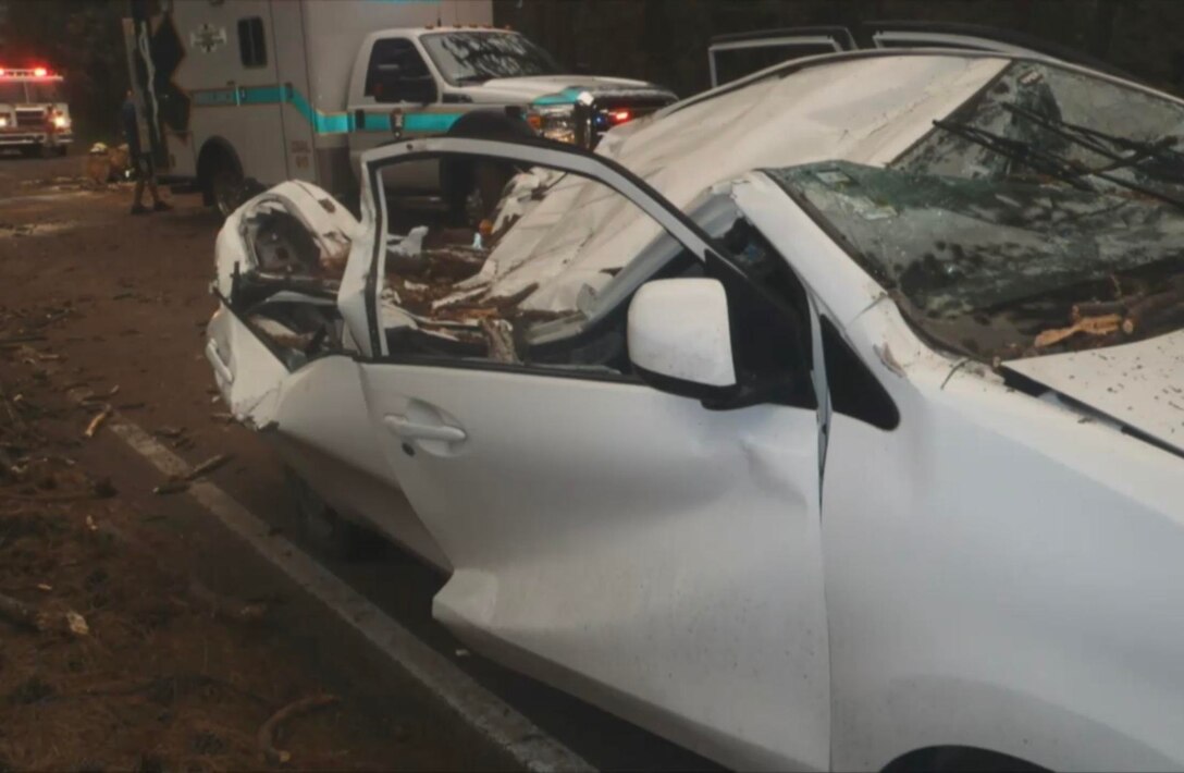 Front view of white Toyota Prius involved in the accident at Yosemite National Park. Photo taken after the tree and occupants have been removed from the vehicle. (Courtesy photo)