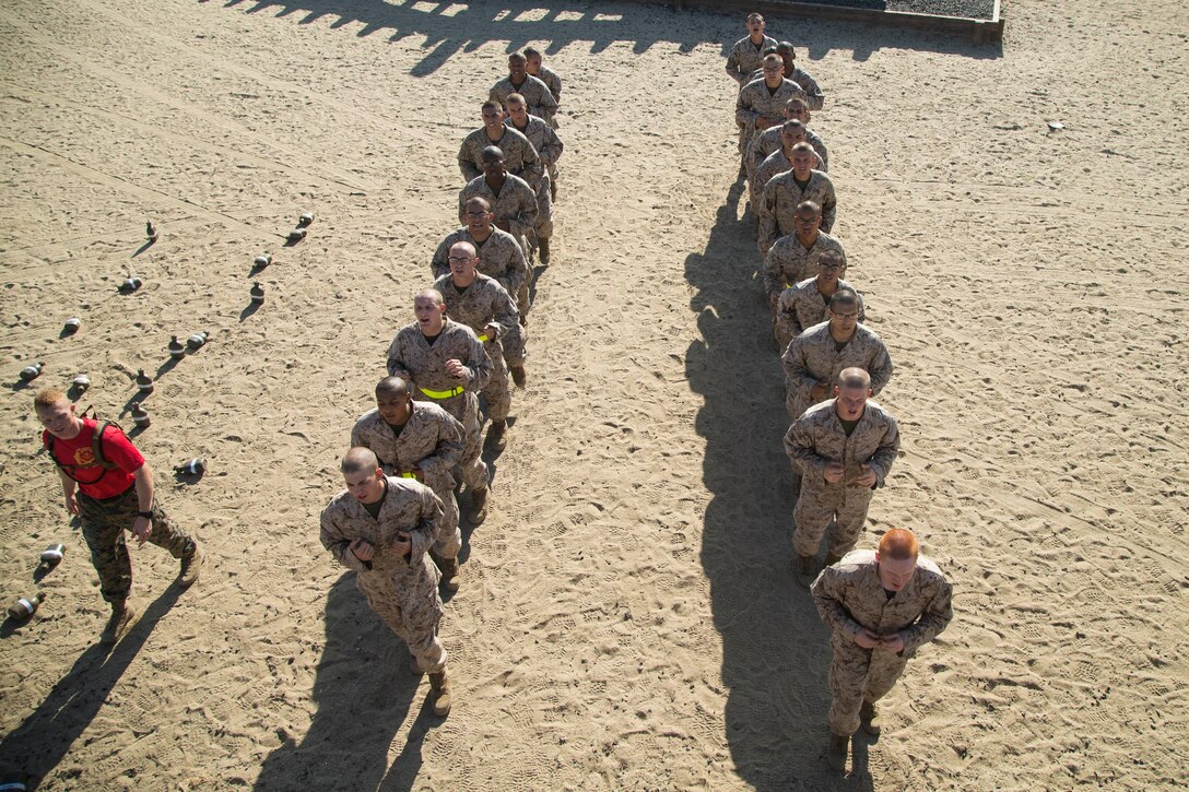 Marines stand in two columns during a training course.