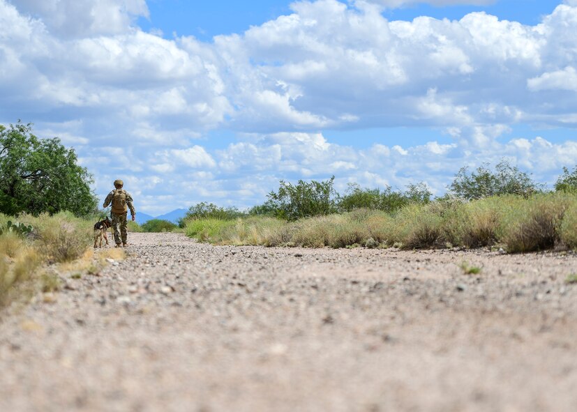 Airman 1st Class Daniel Martinez, 355th Security Forces military working dog handler, participates in a simulated narcotic/bomb detection exercise with Darius, an MWD assigned to the 355 SFS, at Davis-Monthan Air Force Base, Arizona, Sept. 23, 2019. MWDs are primarily employed to search for either narcotics or explosives. (U.S. Air Force photo by Airman 1st Class Kristine Legate)