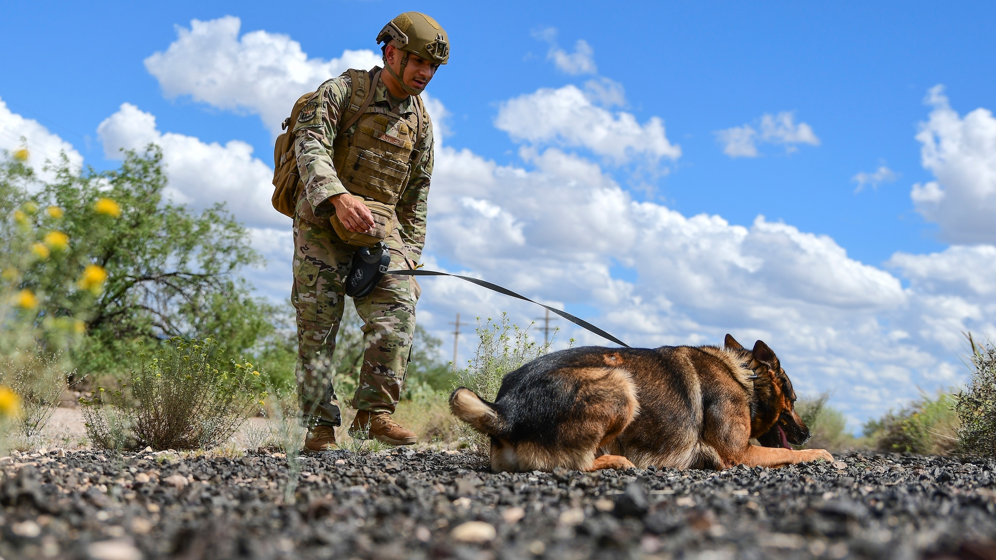 Airman 1st Class Daniel Martinez, 355th Security Forces military working dog handler, participates in a simulated narcotic/bomb detection exercise with Darius, an MWD assigned to the 355 SFS, at Davis-Monthan Air Force Base, Arizona, Sept. 23, 2019. MWDs are primarily employed to search for either narcotics or explosives. (U.S. Air Force photo by Airman 1st Class Kristine Legate)