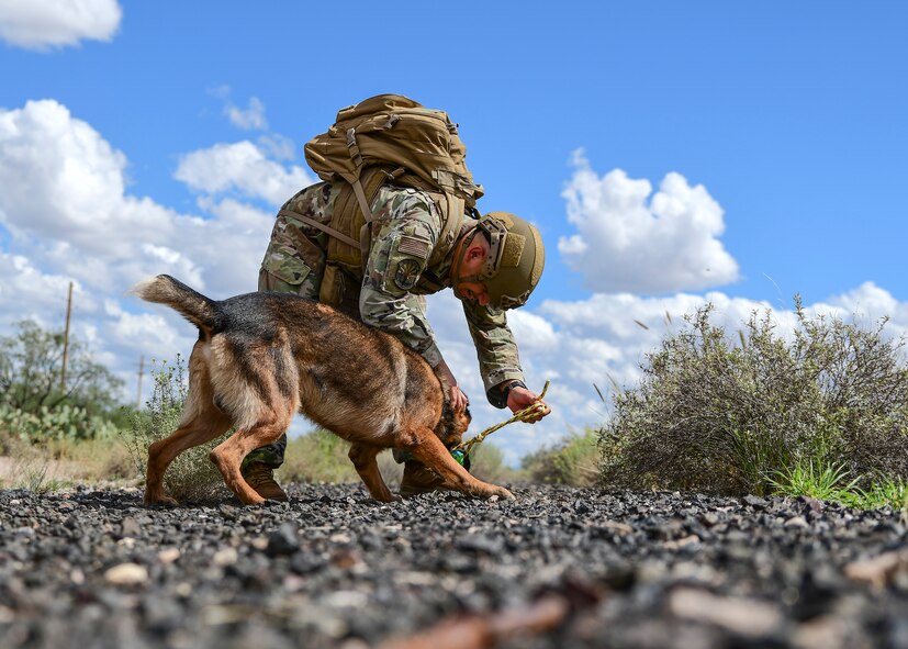 Airman 1st Class Daniel Martinez, 355th Security Forces military working dog handler, participates in a simulated narcotic/bomb detection exercise with Darius, an MWD assigned to the 355 SFS, at Davis-Monthan Air Force Base, Arizona, Sept. 23, 2019. MWDs are primarily employed to search for either narcotics or explosives. (U.S. Air Force photo by Airman 1st Class Kristine Legate)