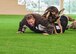 U.S. Air Force Staff Sgt. Joshua Reid, 355th Security Forces military working dog trainer, is taken down by Caro, an MWD assigned to the 355 SFS, during a training scenario at Davis-Monthan Air Force Base, Arizona, Sept. 23, 2019. MWDs are trained to bite and hold until its handler can take control of a situation. (U.S. Air Force photo by Airman 1st Class Kristine Legate)