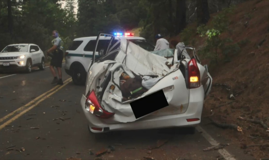 Rear view of white Toyota Prius involved in the accident at Yosemite National Park. Photo taken after the tree and occupants have been removed from the vehicle.