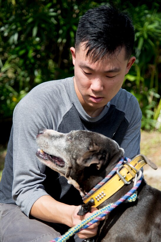U.S. Marine Corps Sgt. Ryo Ishimaru, a future operations non-commissioned officer with III Marine Expeditionary Force, pets a dog during a Single Marine Program volunteer event Sept. 14 at the Cherubims Animal Garden.