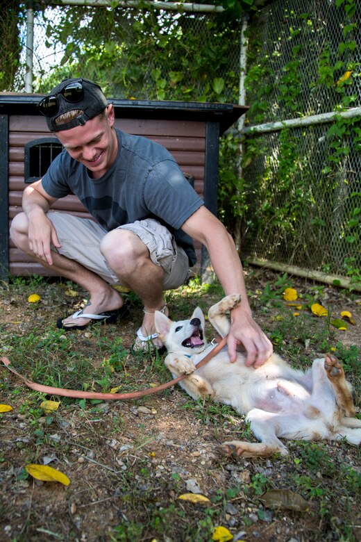 U.S. Marine Corps Cpl. Matthew Rudolph, a motor vehicle operator with III Marine Expeditionary Force, plays with a puppy during a Single Marine Program volunteer event Sept. 14 at the Cherubims Animal Garden.