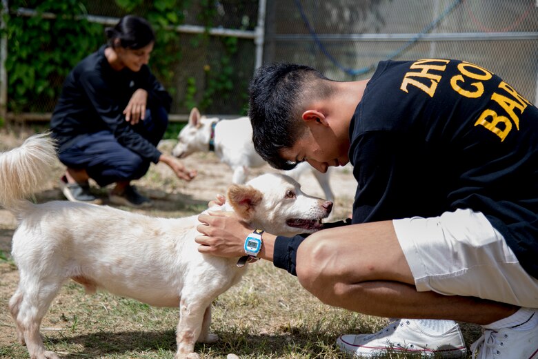 U.S. Marine Corps Cpl. Christopher Madero, a combat graphics specialist with Headquarters and Support Battalion, Marine Corps Installations Pacific, pets a dog during a Single Marine Program volunteer event Sept. 14 at the Cherubims Animal Garden.