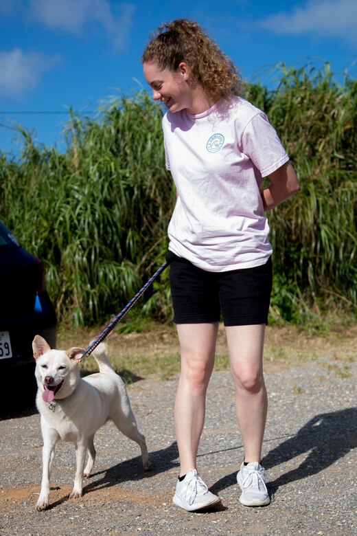 U.S. Marine Corps Lance Cpl. Alexandria Nowell, a combat photographer with Headquarters and Support Battalion, Marine Corps Installations Pacific, prepares to walk a dog during a Single Marine Program volunteer event Sept. 14 at the Cherubims Animal Garden.