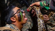 U.S. Marine Corps Lance Cpl. Martin Sanchez with Alpha Company, 1st Battalion, 3rd Marine Regiment, drinks snakes blood during a jungle survival instruction part of Korps Marinir (KORMAR) Exchange 2019 in East Java, Indonesia, August 22, 2019. The KORMAR platoon exchange program between Indonesia and the U.S. involves each country sending a platoon of Marines to live and train together at the other's military base. This program enhances the capability of both services and displays their continued commitment to share information and increase the ability to respond to crisis together. (U.S. Marine Corps photo by Cpl. Eric Tso)