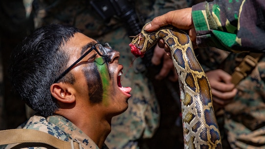 U.S. Marine Corps Lance Cpl. Martin Sanchez with Alpha Company, 1st Battalion, 3rd Marine Regiment, drinks snakes blood during a jungle survival instruction part of Korps Marinir (KORMAR) Exchange 2019 in East Java, Indonesia, August 22, 2019. The KORMAR platoon exchange program between Indonesia and the U.S. involves each country sending a platoon of Marines to live and train together at the other's military base. This program enhances the capability of both services and displays their continued commitment to share information and increase the ability to respond to crisis together. (U.S. Marine Corps photo by Cpl. Eric Tso)