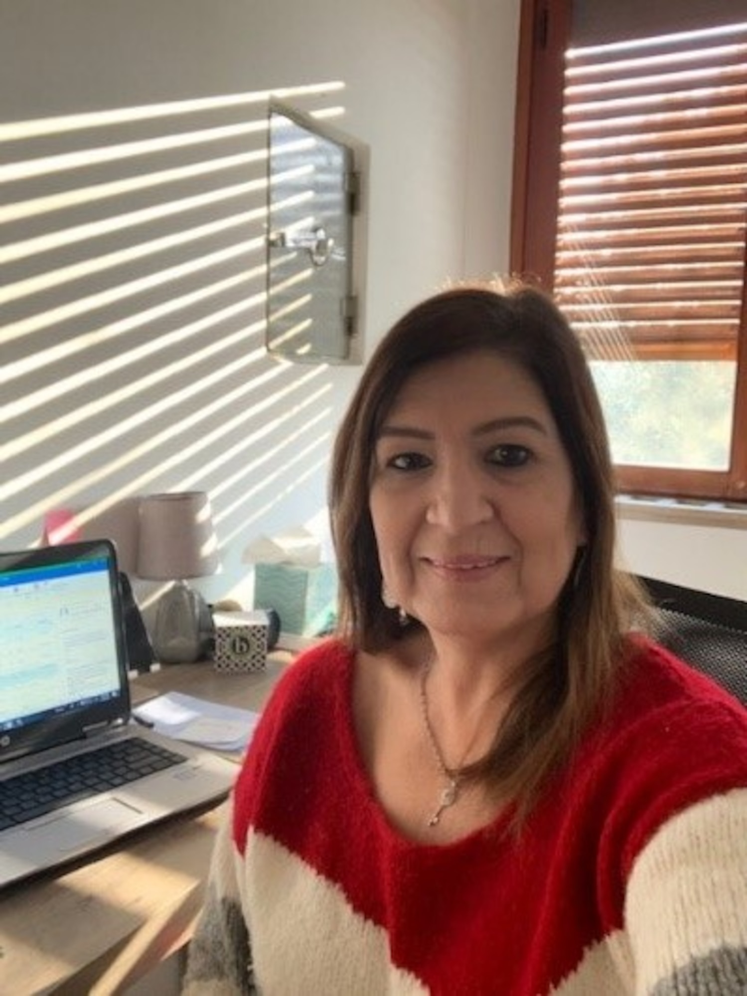 (Courtesy photo of Beverly Diaz, 31st Force Support Squadron civilian personnel officer, teleworking)