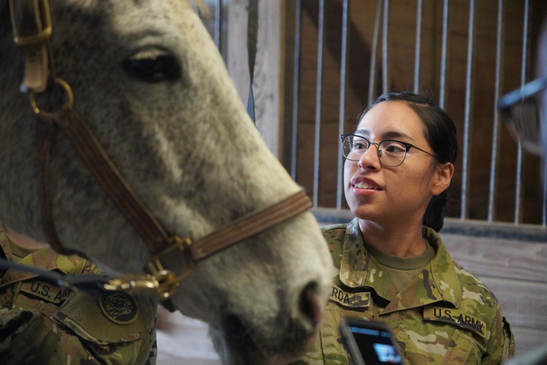 A soldier smiles as she looks at a horse.