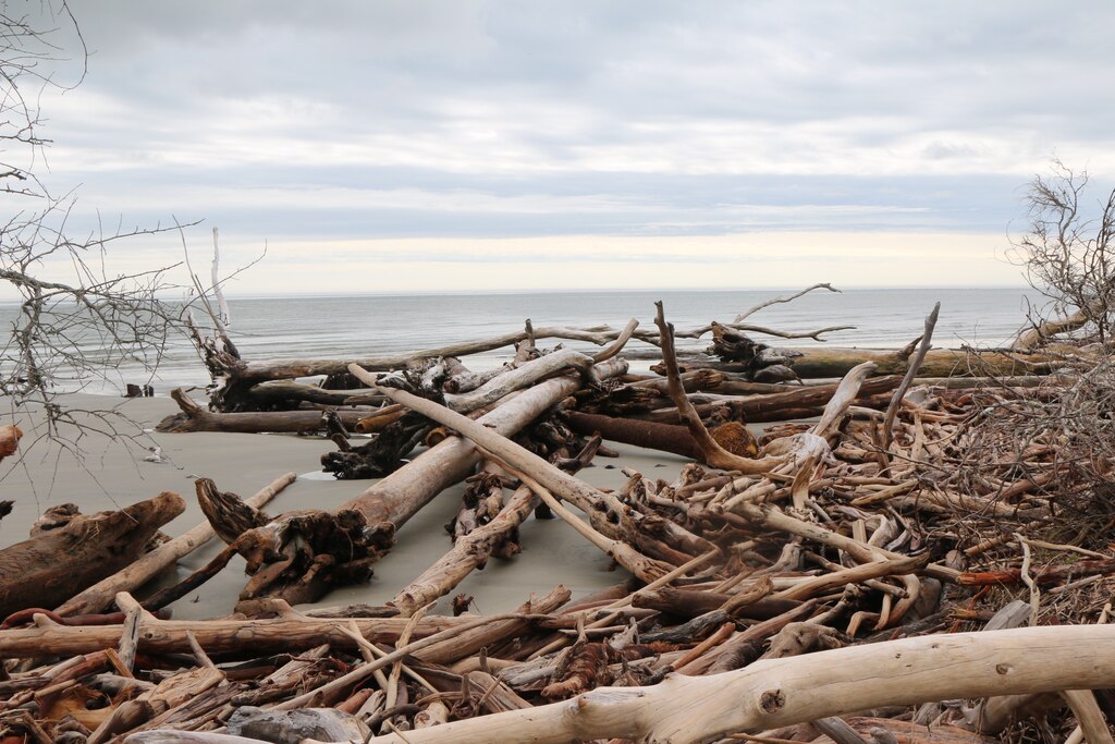 Hunting Island Beach Renourishment