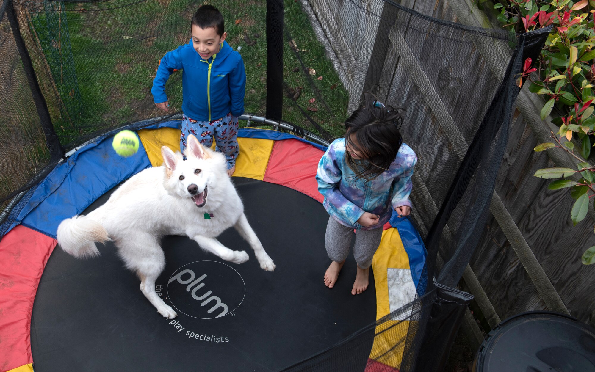 Nolan and Kaileena Nuñez play with Layla, their German Shepherd, on their trampoline while being quarantined for two weeks during the COVID-19 outbreak, April 2, 2020. The Nuñez children adhere to a structured schedule with time for school and play during their period of quarantine. (U.S. Air Force photo by Tech. Sgt. Emerson Nuñez)