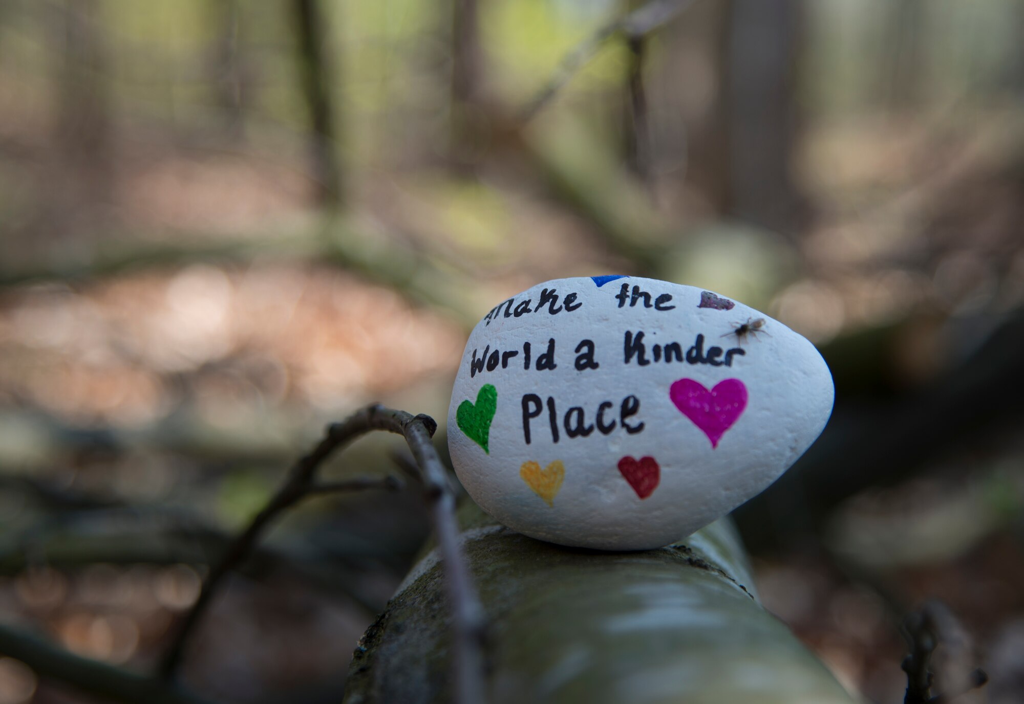A rock has been placed in the woods for others to find at Ramstein Air Base, Germany, April 7, 2020.
