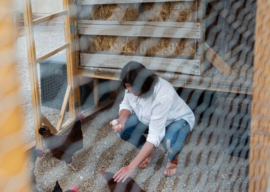 Rachael Thomas, collects eggs from her chicken coop to distribute to families in need during the COVID-19 Pandemic.