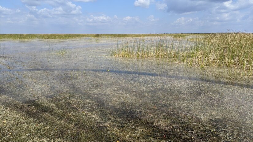 RECOVER Lake Okeechobee Stage Performance Measure approved > U.S. Army ...