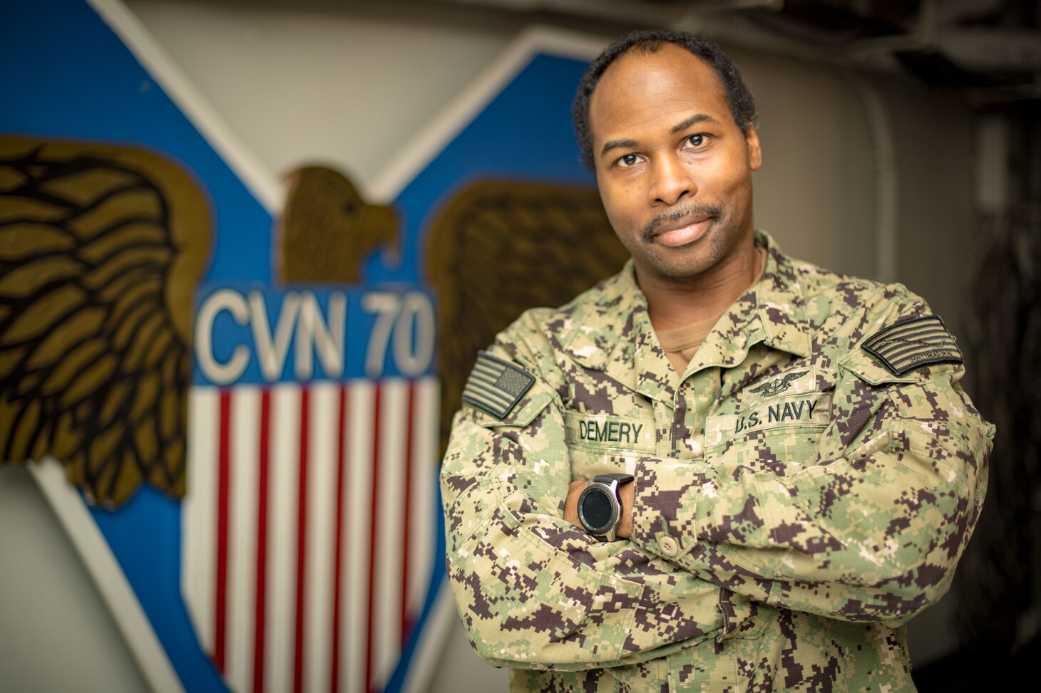 A sailor standing in front of the USS Carl Vinson's crest.