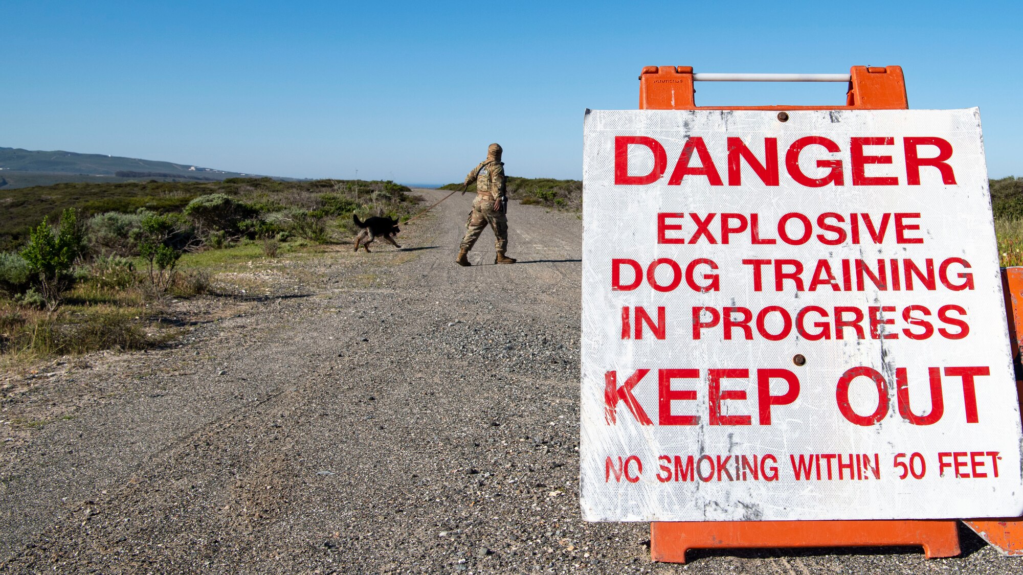 Senior Airman Ricky Wilson, 30th Security Forces Squadron military working dog handler, leads Hugo, 30th SFS military working dog, down a trail during a roadway detection training April 15, 2020, at Vandenberg Air Force Base, Calif. During the training, military working dogs and their handlers were faced with a simulated roadway situation, where six training explosive devices were buried for teams to find. Teams were evaluated on their ability to efficiently detect the roadside explosives. (U.S. Air Force photo by Senior Airman Aubree Owens)