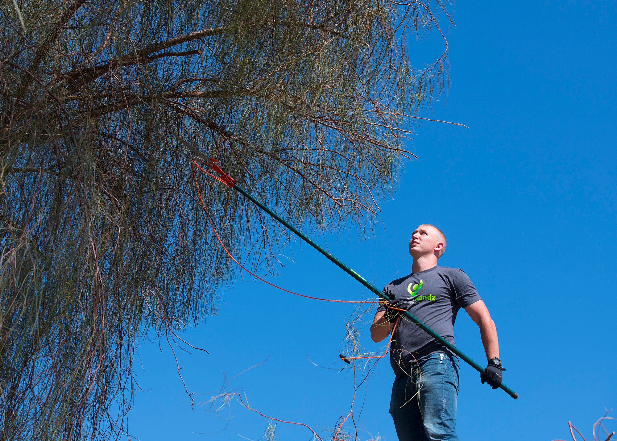 Senior Airman Montana McCormick, 56th Force Support Squadron lead recreational specialist, trims a tree April 1, 2020, in Avondale, Ariz.