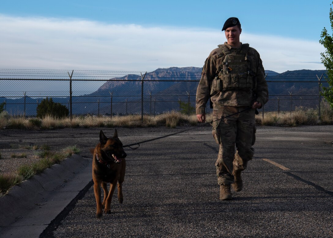 photo of dog walking with Air Force service member