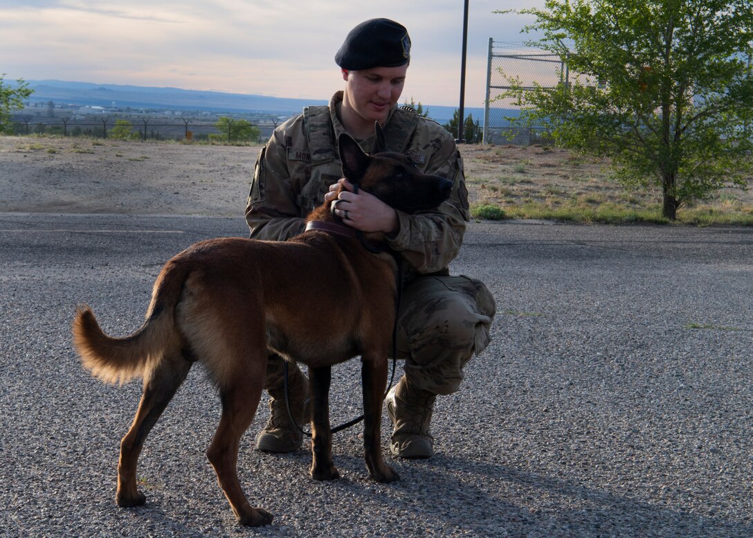 photo of dog and Air Force service member