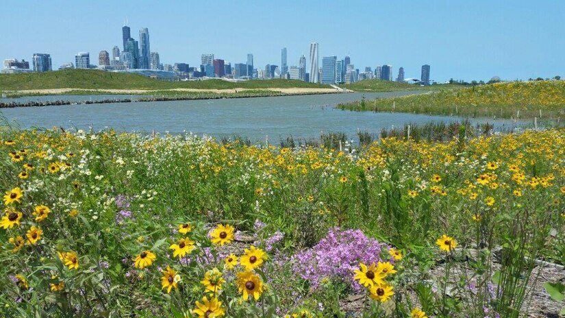USACE Chicago District Ecosystem Restoration Master Plan Team Partners 